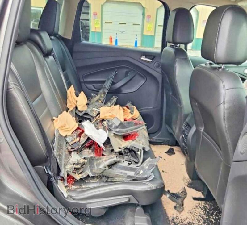 2016 Ford ESCAPE (VIN 1FMCU0JX2GUA73463) — фото 10 из 13