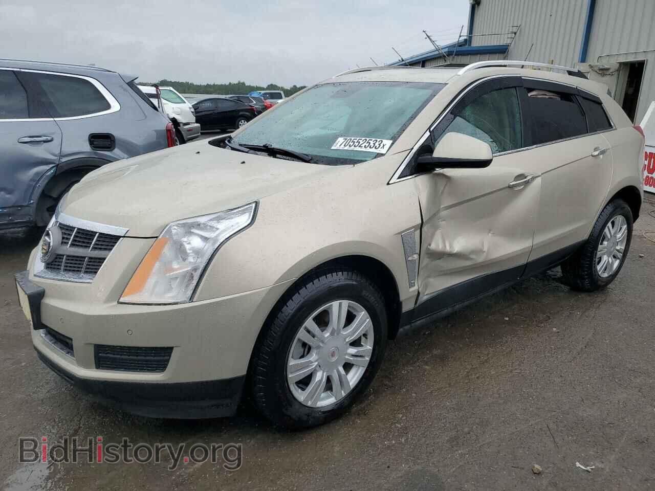 Фотография 3GYFNAE36CS563419 - CADILLAC SRX 2012