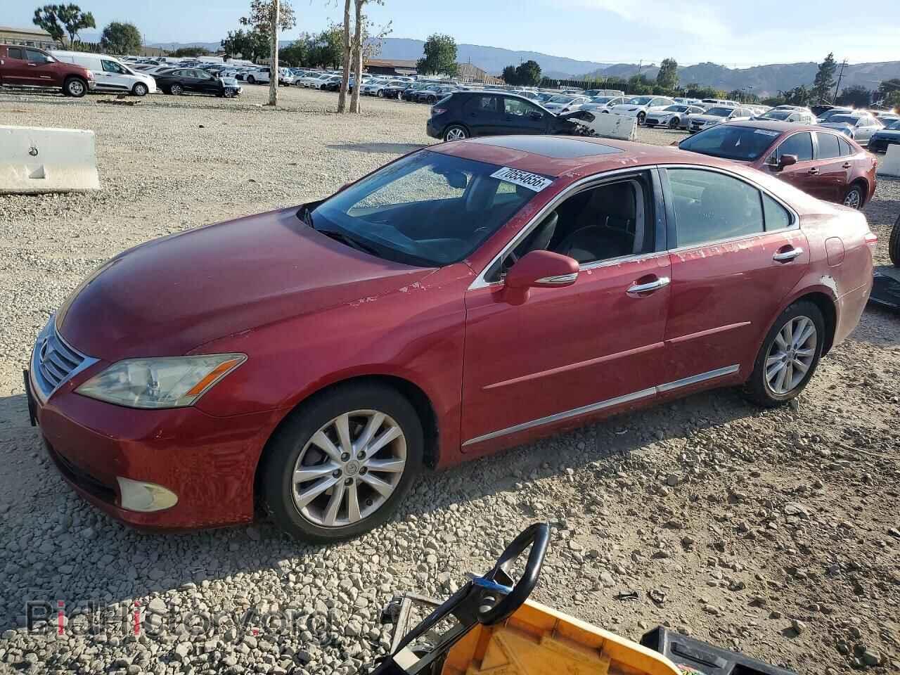 Фотография JTHBK1EG3A2395875 - LEXUS ES350 2010
