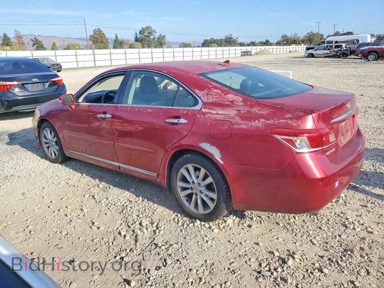 2010 LEXUS ES350 - VIN: JTHBK1EG3A2395875 - Фото 2