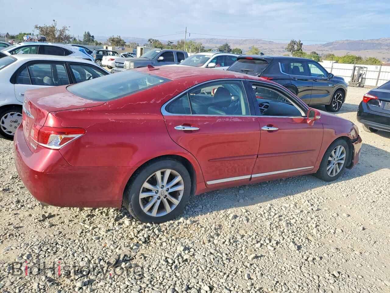 2010 LEXUS ES350 - VIN: JTHBK1EG3A2395875 - Фото 3