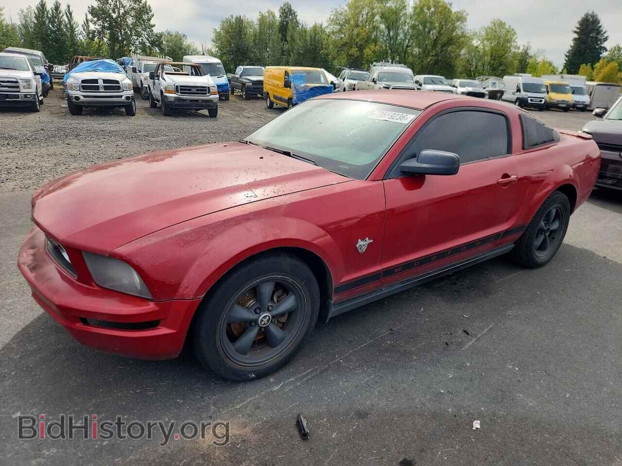 Фотография 1ZVHT80N495111202 - FORD MUSTANG 2009