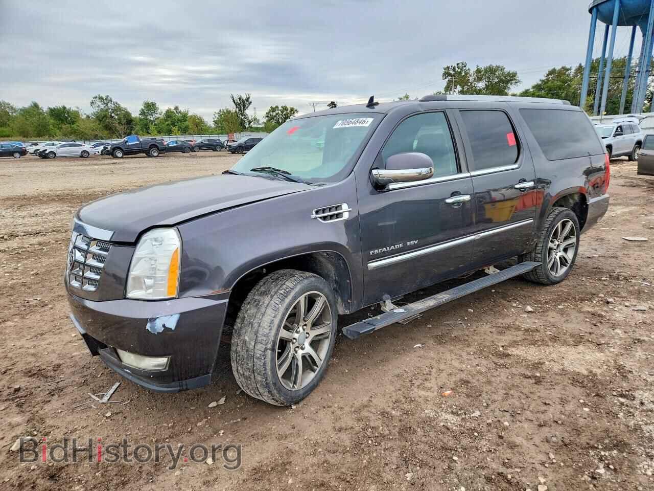 Photo 1GYUKJEF0AR209891 - CADILLAC ESCALADE 2010