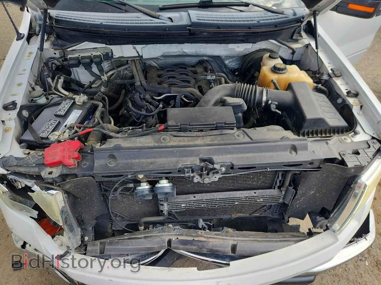2011 FORD F150 - VIN: 1FTFX1CF4BFA40738 - Фото 11