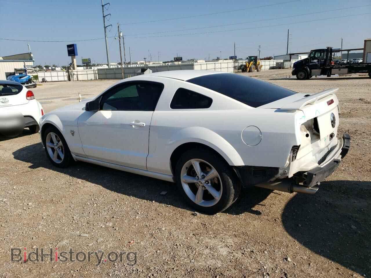 2009 FORD MUSTANG - VIN: 1ZVHT82H595122569 - Фото 2