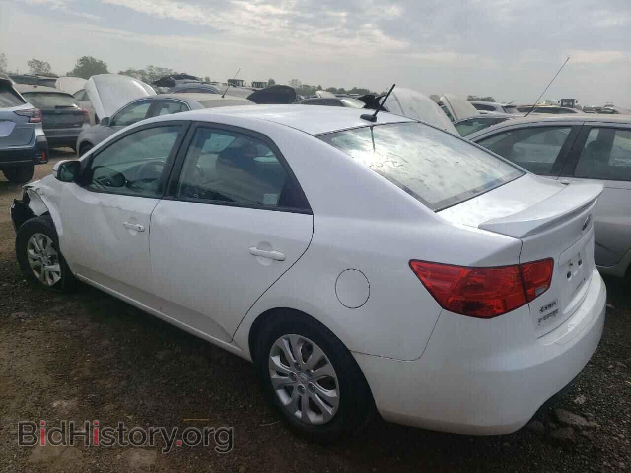 2012 KIA FORTE - VIN: KNAFU4A24C5522592 - Фото 2