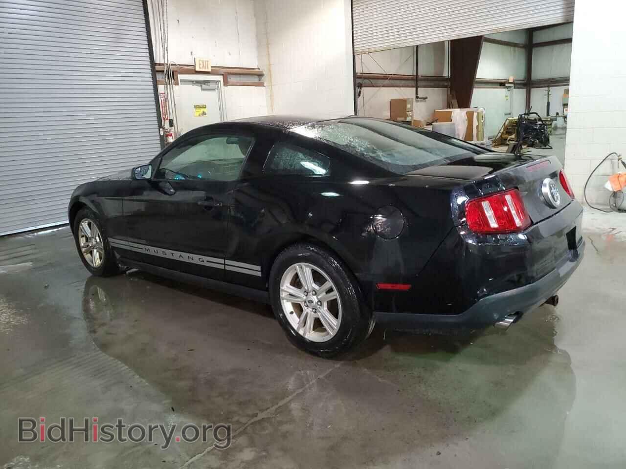 2011 FORD ALL Models - VIN: 1ZVBP8AM8B5133371 - Фото 2