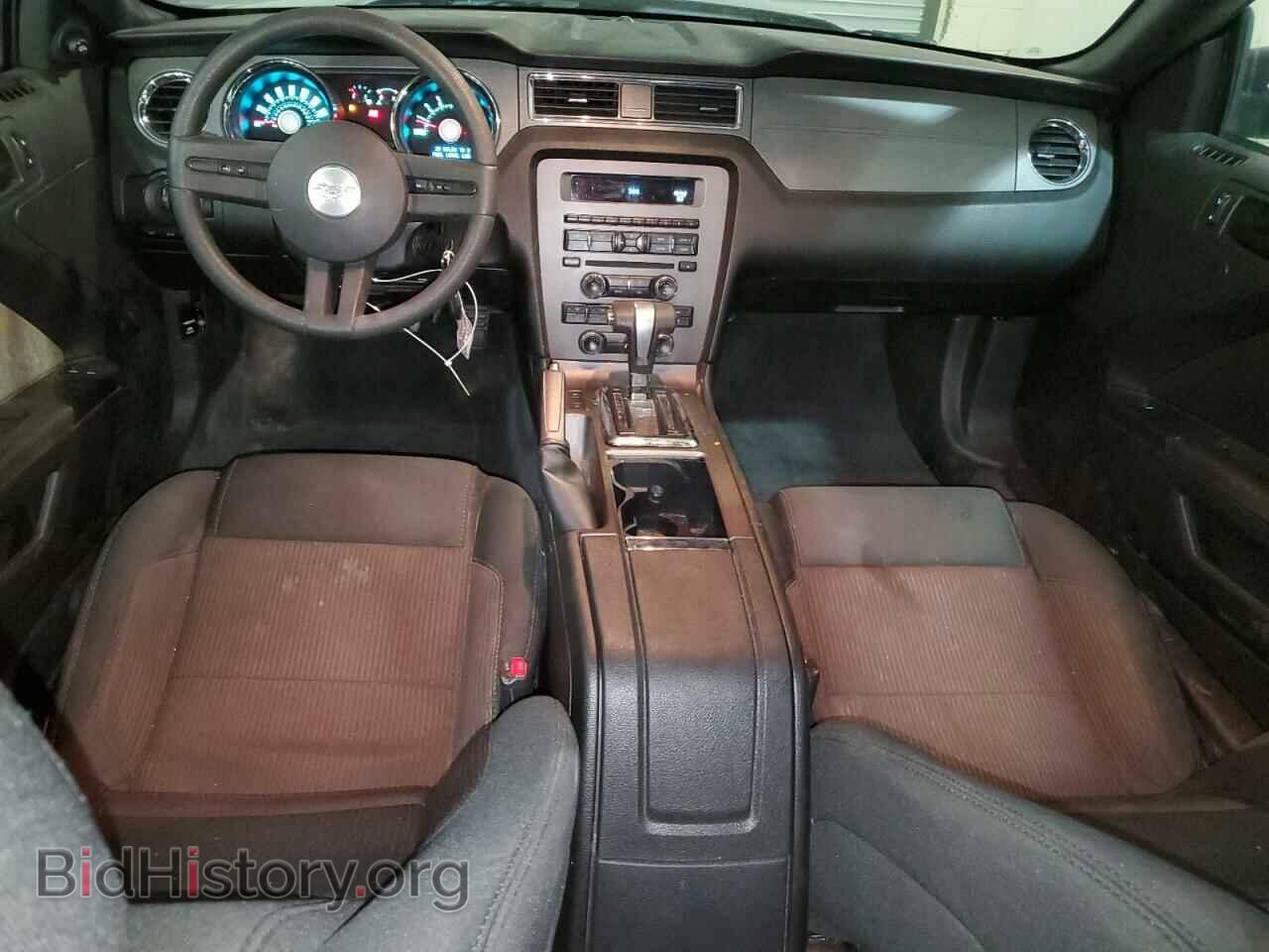 2011 FORD ALL Models - VIN: 1ZVBP8AM8B5133371 - Фото 8