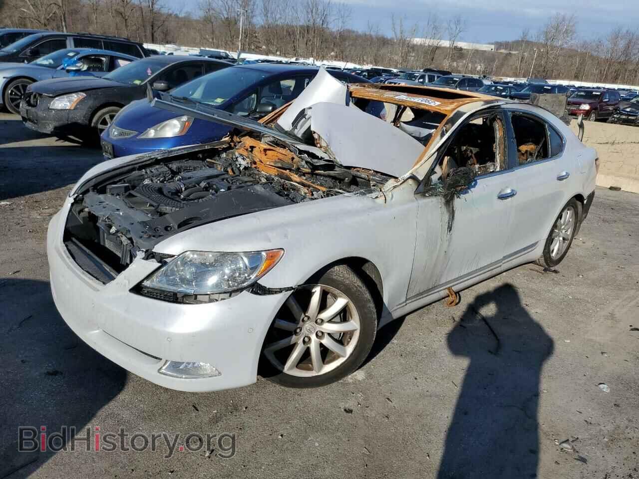 Photo JTHBL46F685073793 - LEXUS LS460 2008