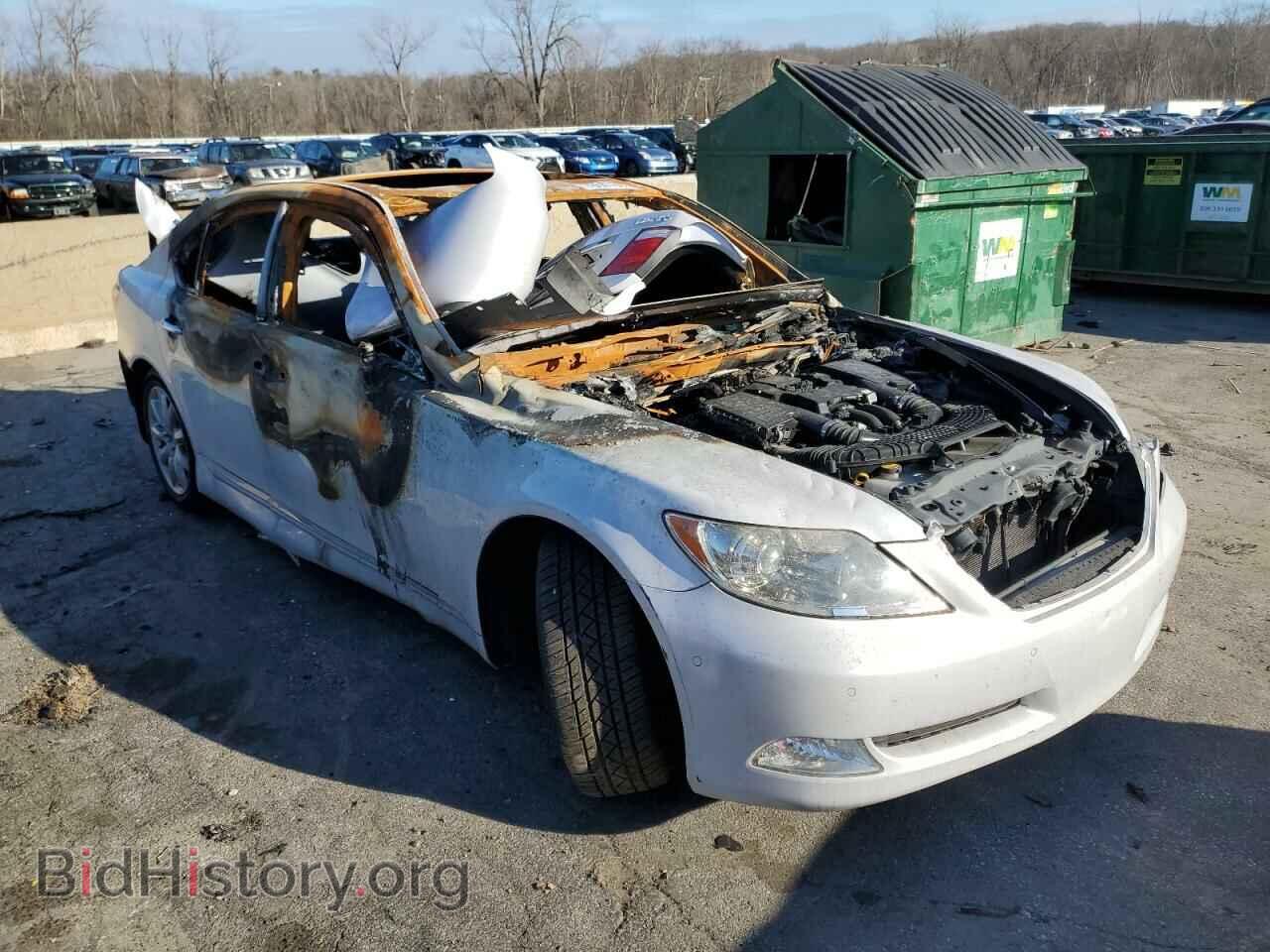 2008 LEXUS LS460 - VIN: JTHBL46F685073793 - Photo 4