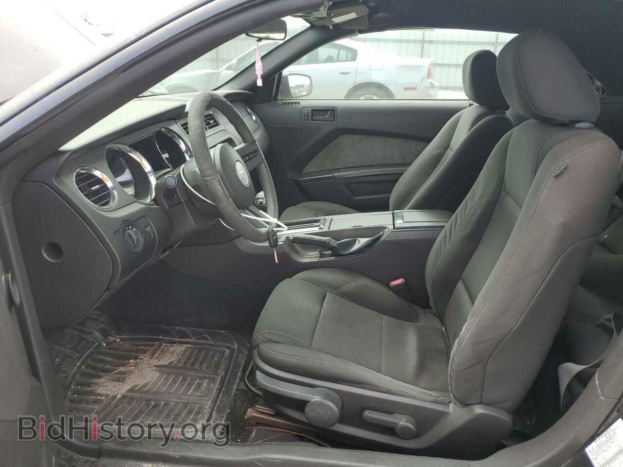 2010 FORD ALL Models - VIN: 1ZVBP8EN3A5163069 - Фото 7