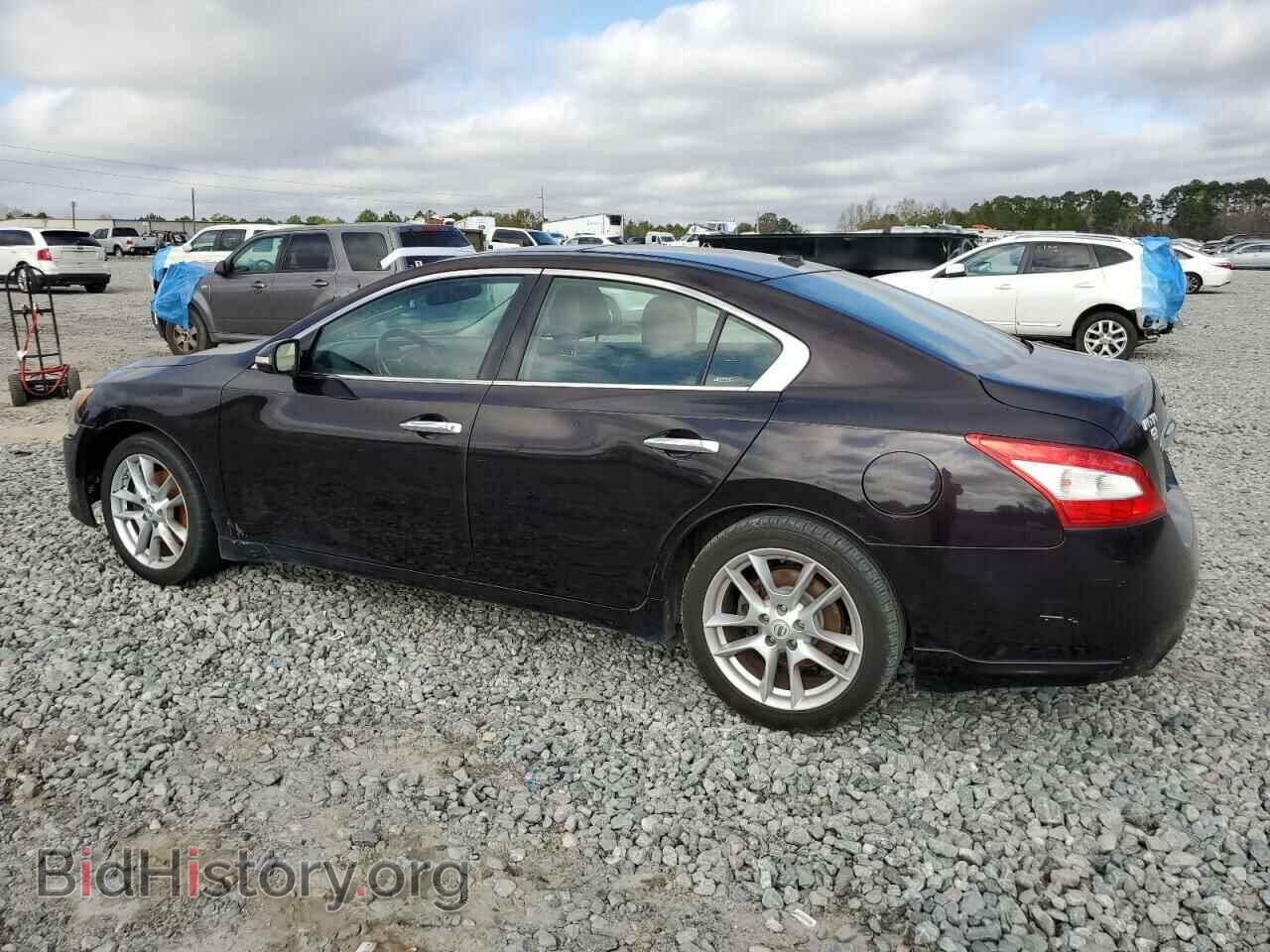 2011 NISSAN MAXIMA - VIN: 1N4AA5AP2BC811154 - Фото 2