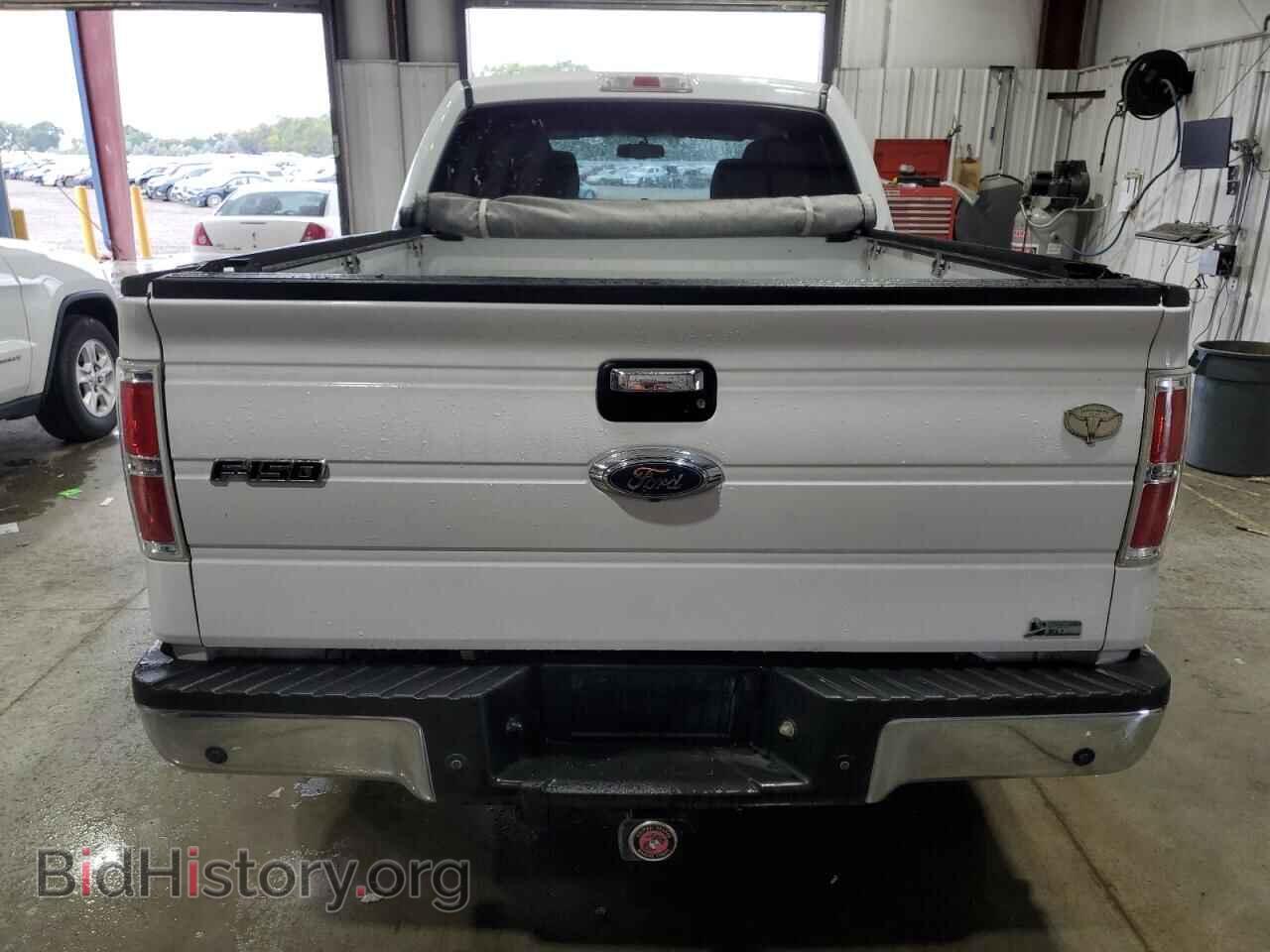 2010 FORD F-150 - VIN: 1FTFW1EV4AFC06245 - Фото 6