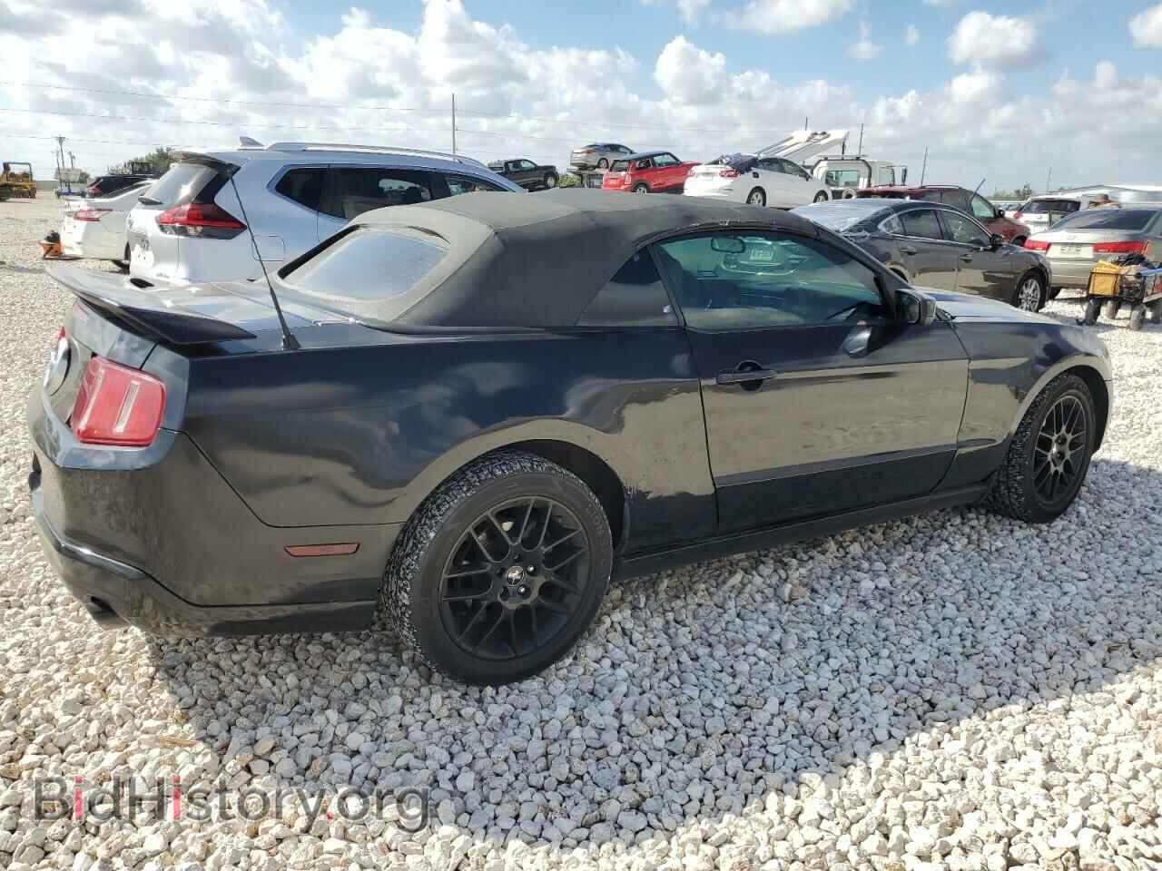 2010 FORD ALL Models - VIN: 1ZVBP8EN3A5122313 - Фото 3