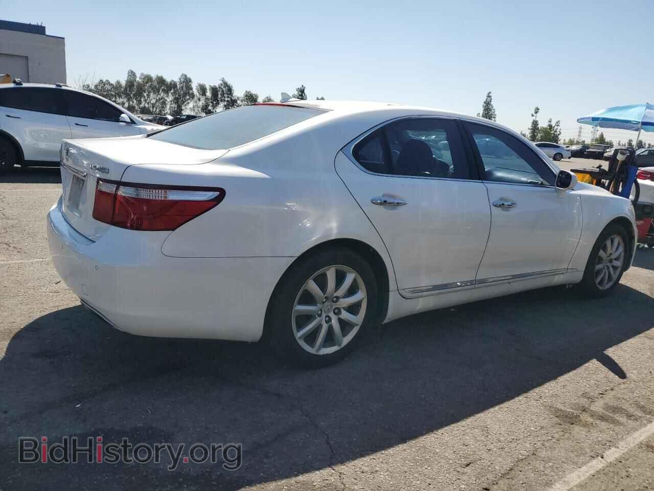 2009 LEXUS LS460 - VIN: JTHBL46F395091394 - Фото 3