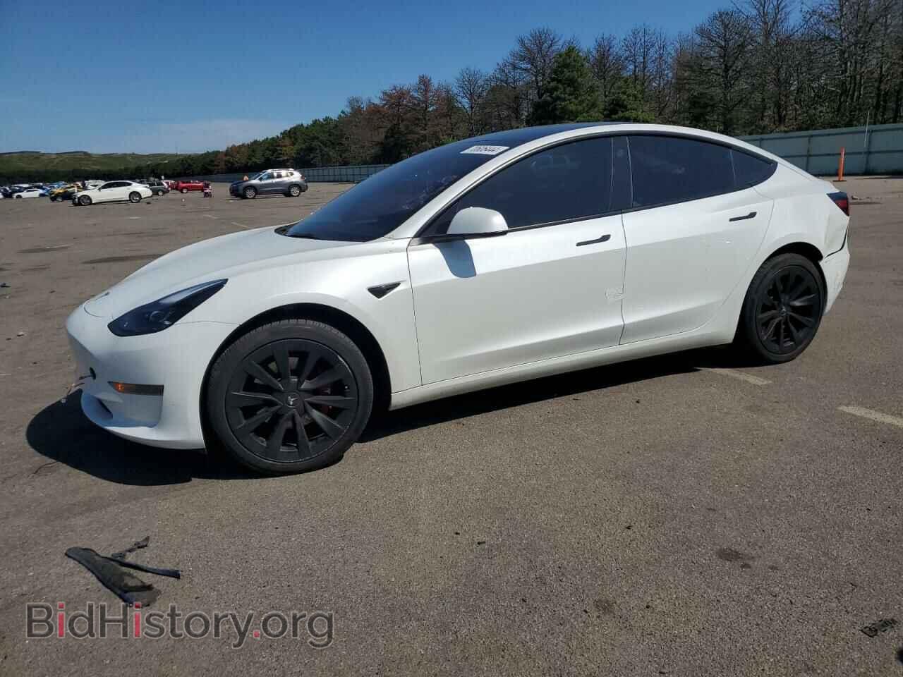 Photo 5YJ3E1EA1PF493477 - TESLA MODEL 3 2023