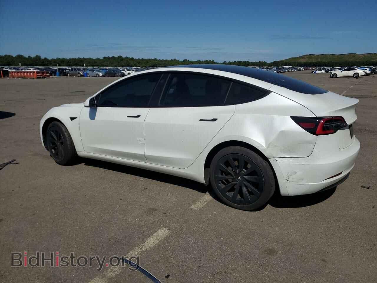 2023 TESLA MODEL 3 - VIN: 5YJ3E1EA1PF493477 - Photo 2