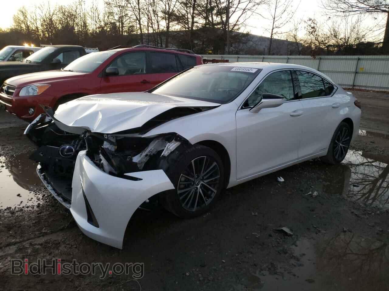 Photo 58ADA1C15NU014876 - LEXUS ES300 2022