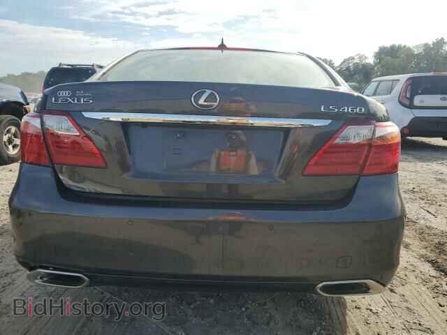 2010 LEXUS LS460 - VIN: JTHBL5EF4A5099211 - Фото 6