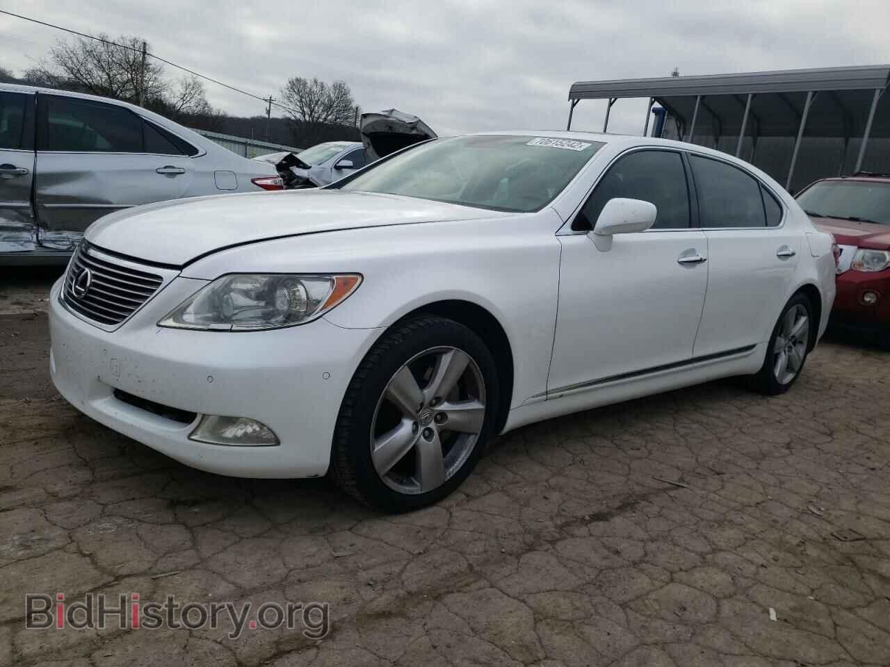 Фотография JTHGL46F875015009 - LEXUS LS460 2007