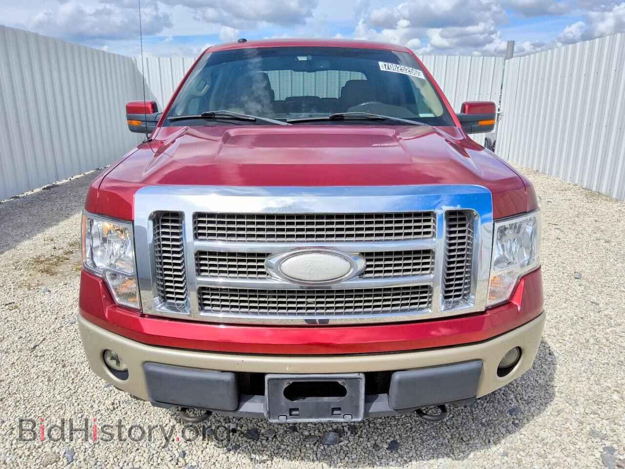 2009 FORD F150 - VIN: 1FTPW14V59FA84593 - Фото 5