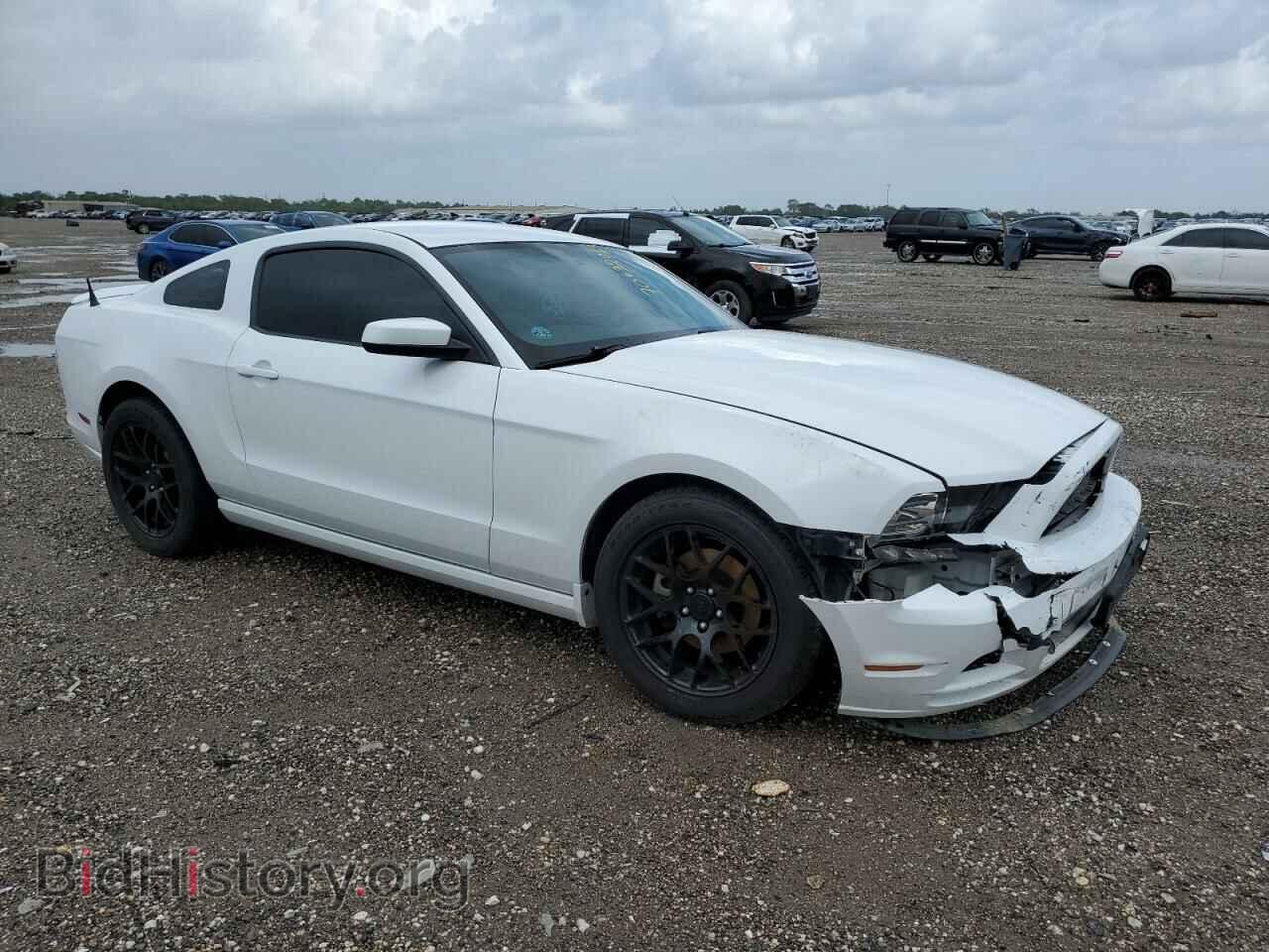 2014 FORD ALL Models - VIN: 1ZVBP8AM5E5304873 - Фото 4
