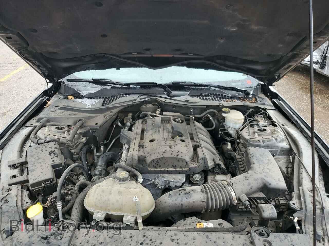 2015 FORD ALL Models - VIN: 1FA6P8TH8F5342495 - Фото 11