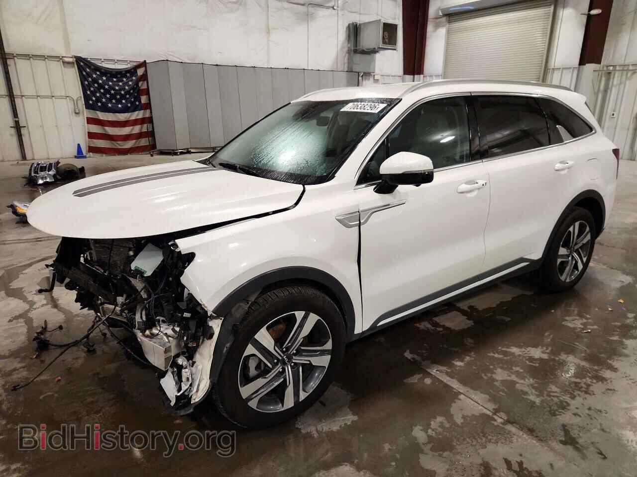 Photo KNDRKDLGXP5206151 - KIA SORENTO 2023