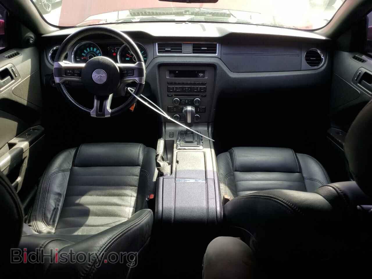 2013 FORD MUSTANG - VIN: 1ZVBP8FF1D5217478 - Фото 8