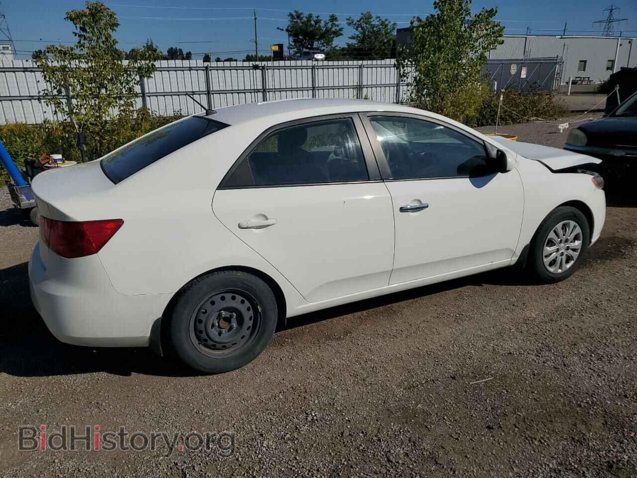 2010 KIA FORTE - VIN: KNAFT4A29A5150182 - Фото 3