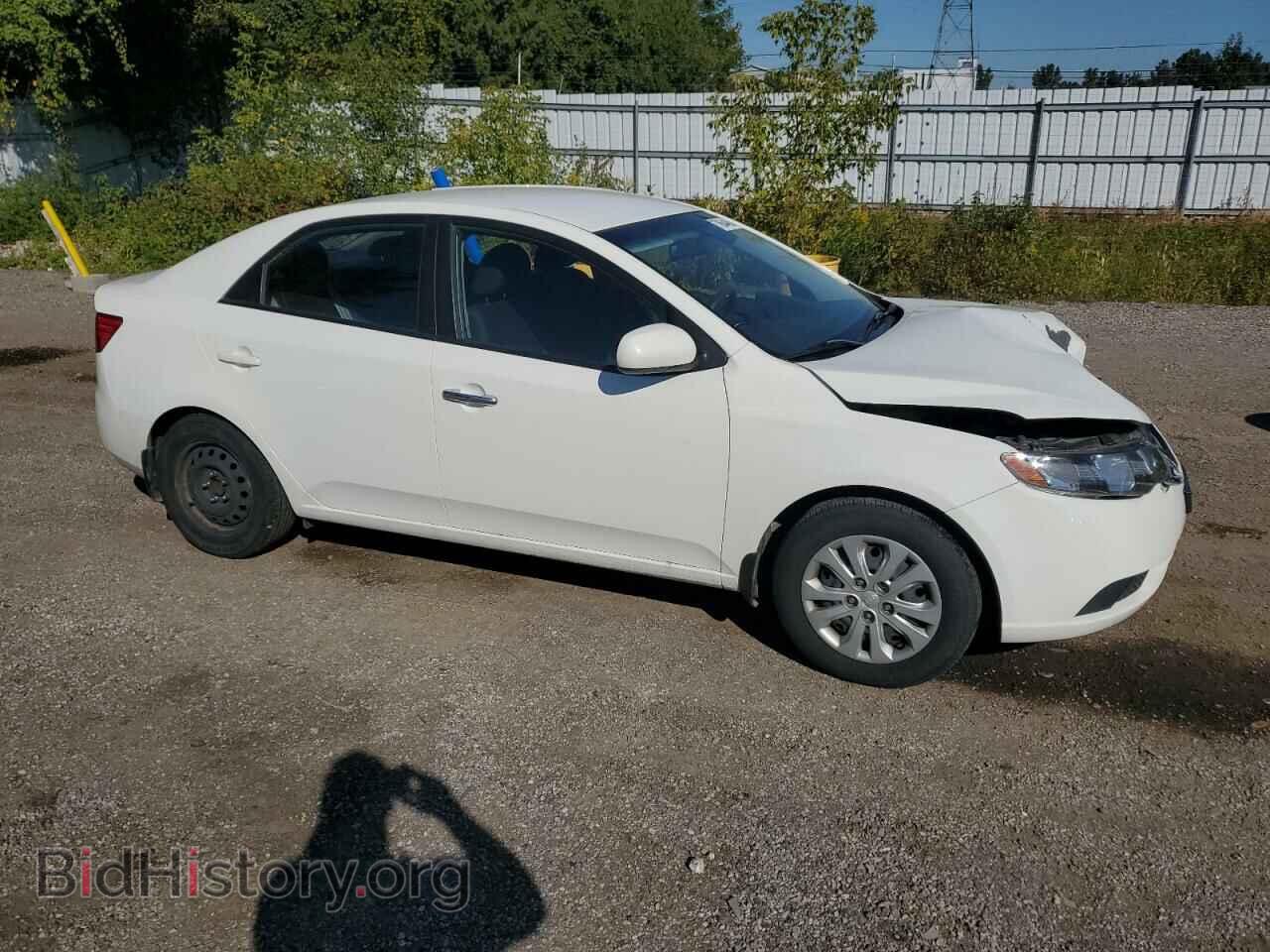 2010 KIA FORTE - VIN: KNAFT4A29A5150182 - Фото 4