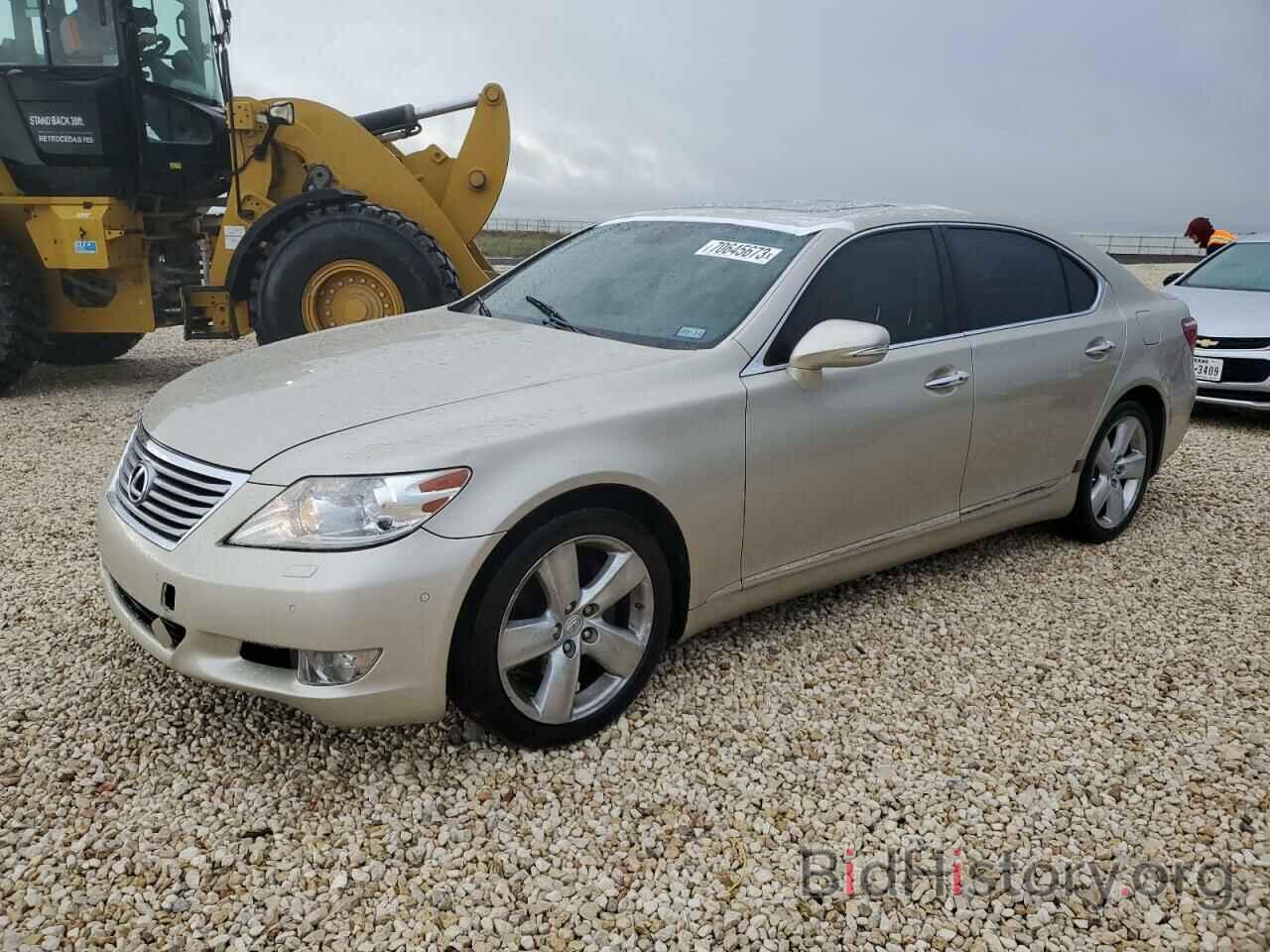 Фотография JTHGL5EF8B5041853 - LEXUS LS460 2011