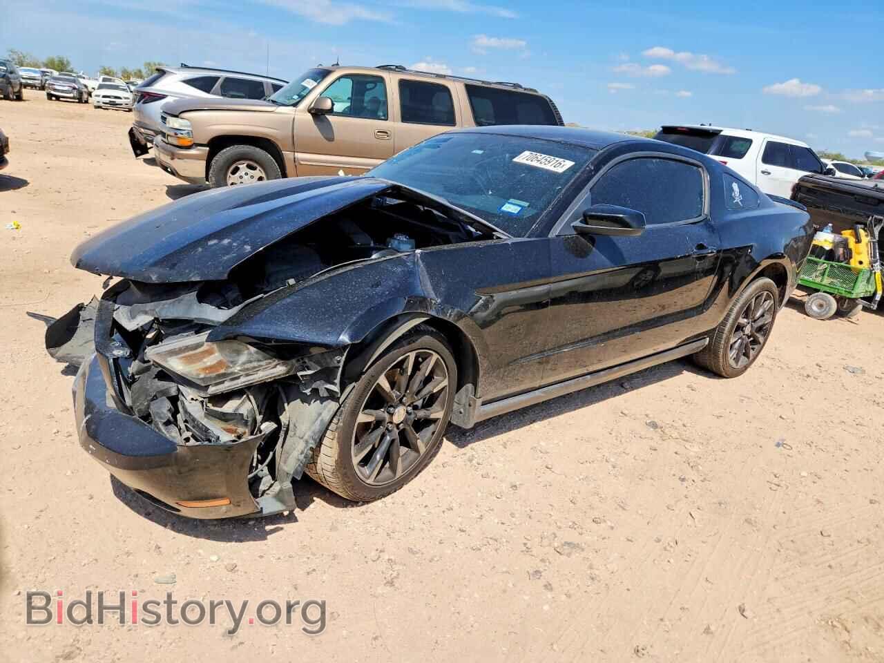 Фотография 1ZVBP8AM7B5168905 - FORD MUSTANG 2011