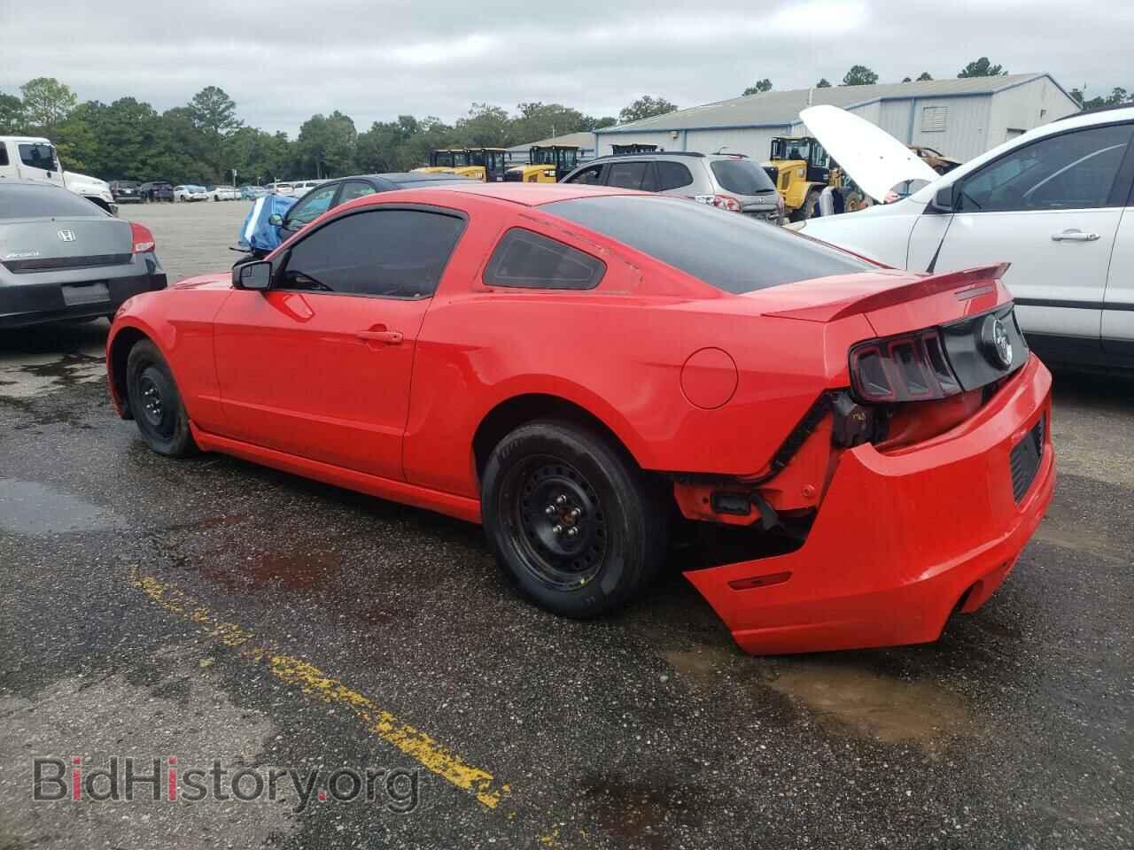2013 FORD ALL Models - VIN: 1ZVBP8AM7D5203235 - Фото 2