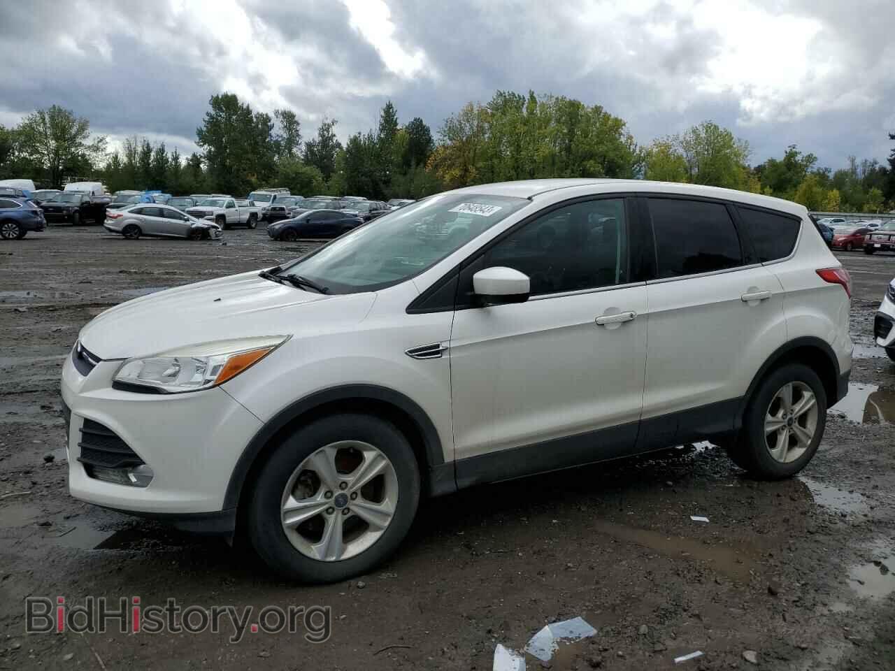 Фотография 1FMCU9GX7DUD70686 - FORD ESCAPE 2013