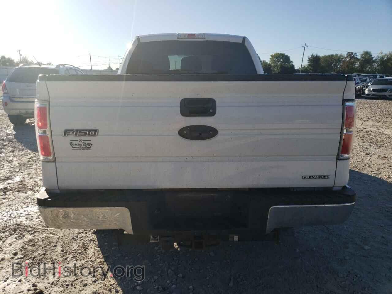 2011 FORD F-150 - VIN: 1FTFX1EF2BFA20307 - Фото 6