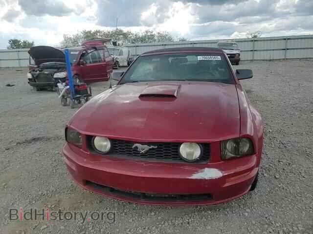 2007 FORD MUSTANG - VIN: 1ZVHT85H775337038 - Фото 13