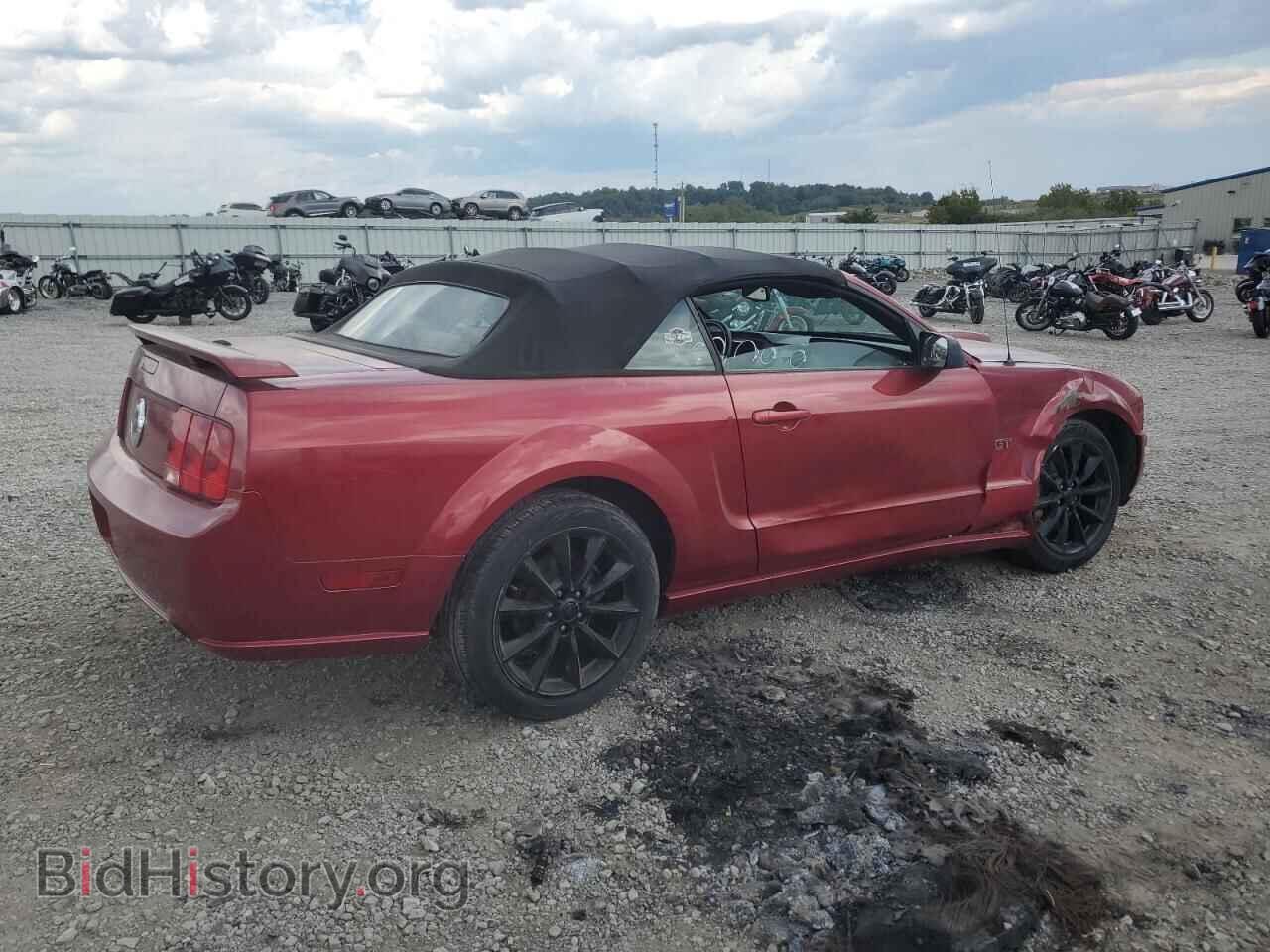 2007 FORD MUSTANG - VIN: 1ZVHT85H775337038 - Фото 3