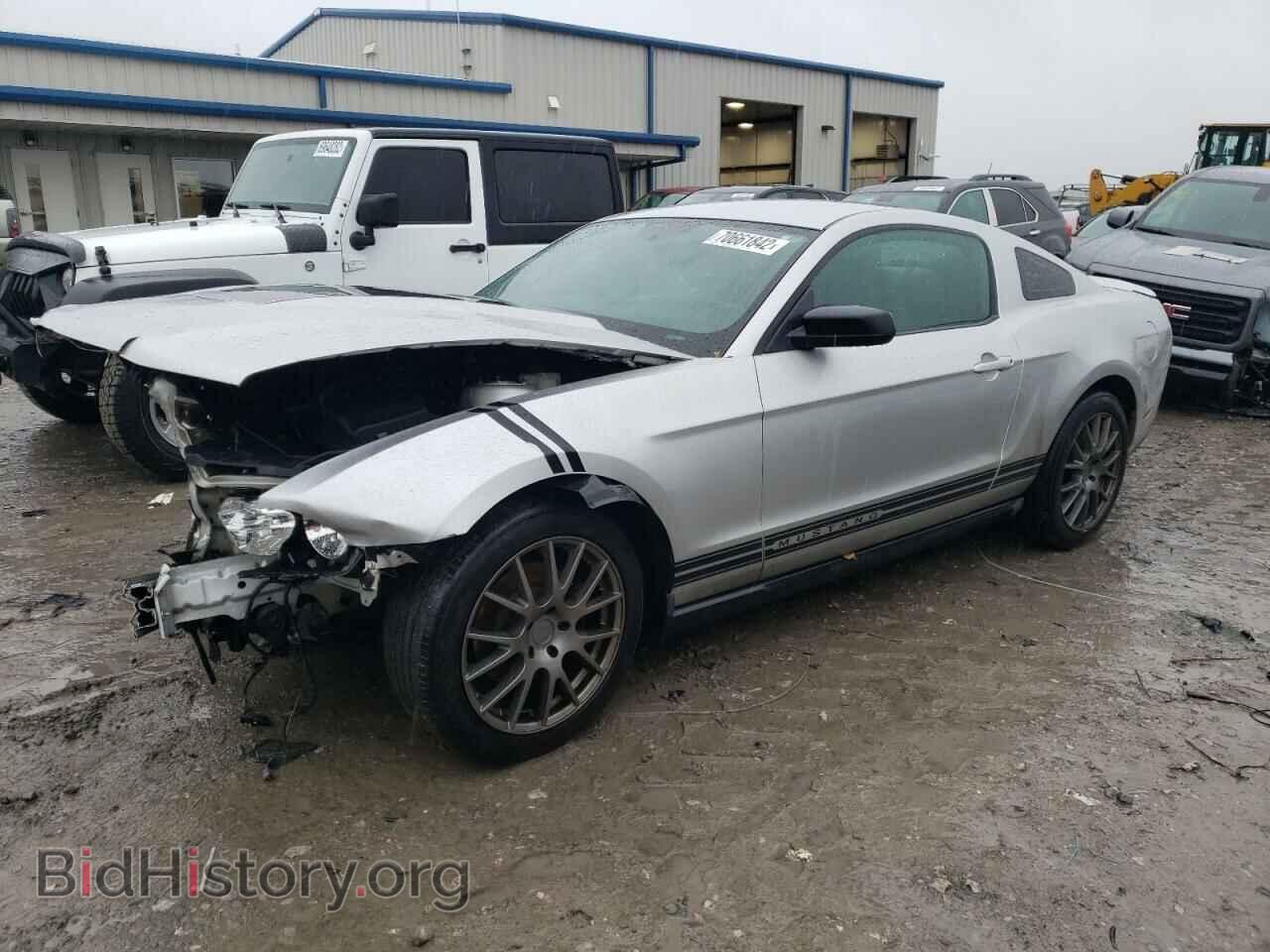 Фотография 1ZVBP8AM9C5207799 - FORD MUSTANG 2012