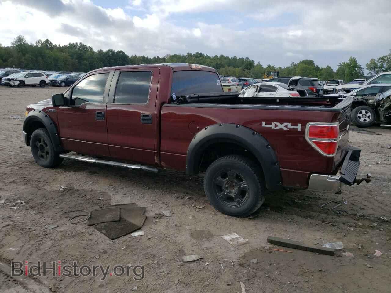 2010 FORD F-150 - VIN: 1FTFW1EV8AFD15291 - Фото 2