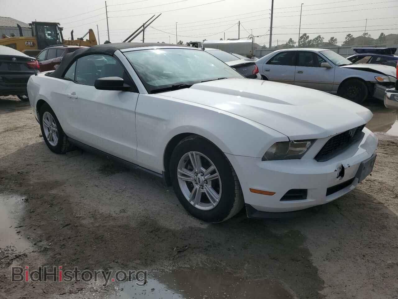 2012 FORD ALL Models - VIN: 1ZVBP8EM9C5206999 - Фото 4