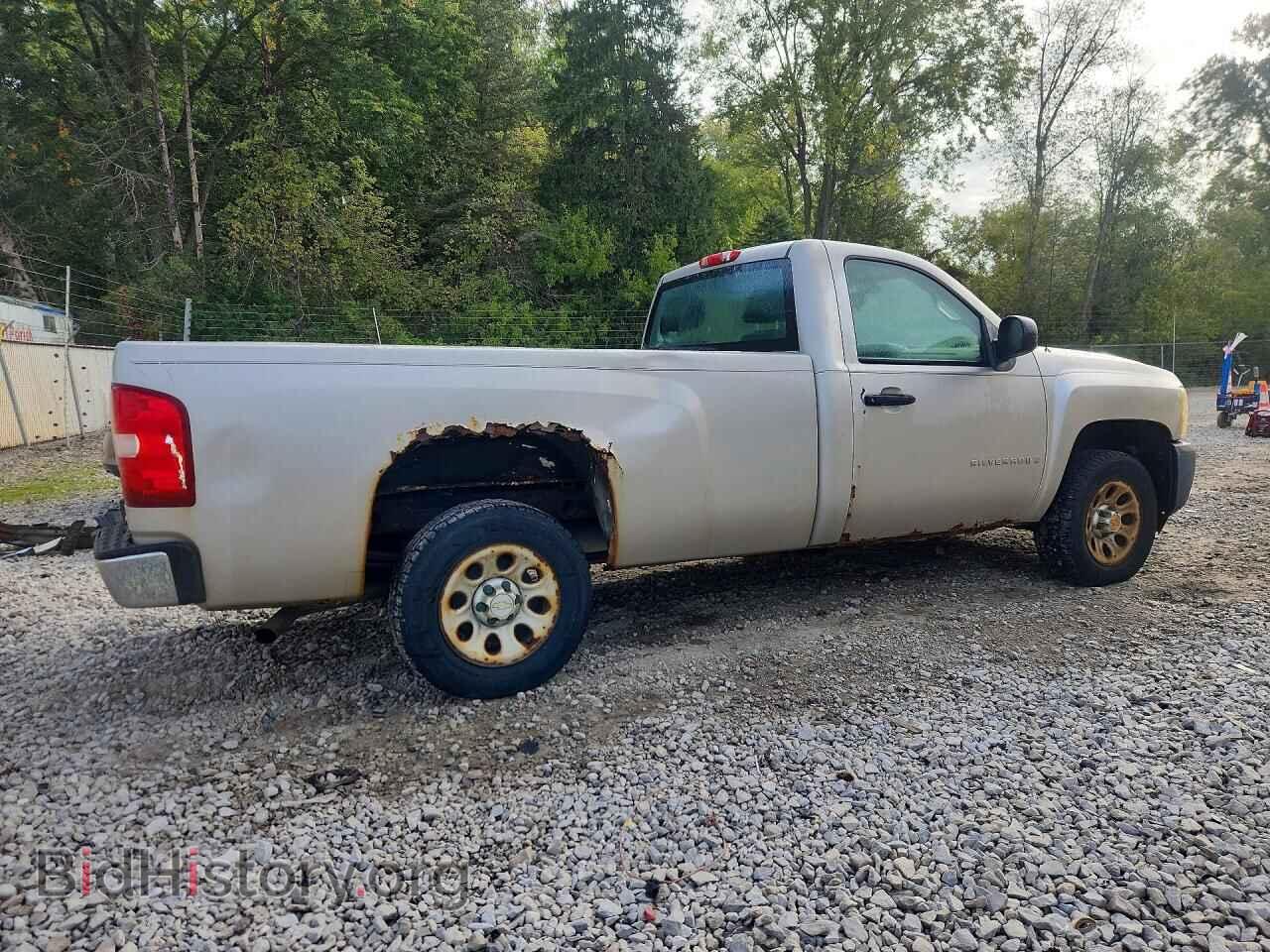 2009 CHEVROLET SILVERADO - VIN: 1GCEC14XX9Z238523 - Фото 3