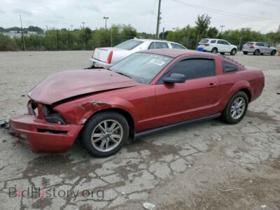 2006 Ford ALL MODELS, красный — VIN 1ZVFT80N465158166, Copart