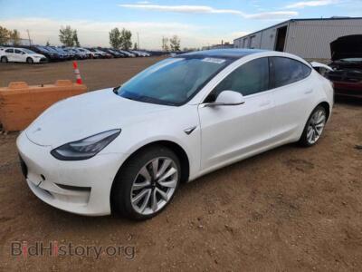 2020 Tesla MODEL 3, white — VIN 5YJ3E1EA4LF731929, Copart