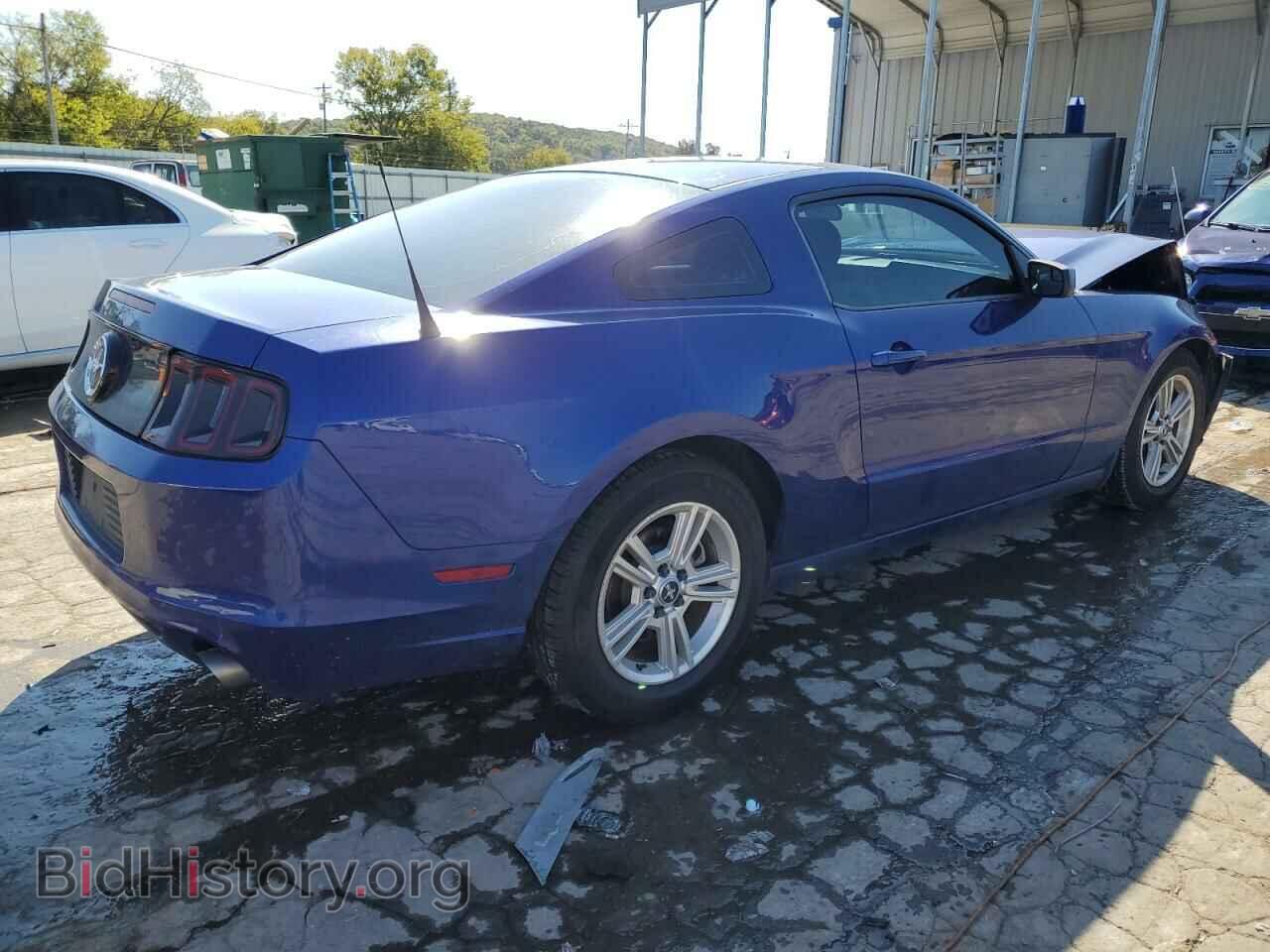 2013 FORD ALL Models - VIN: 1ZVBP8AM6D5270652 - Фото 3