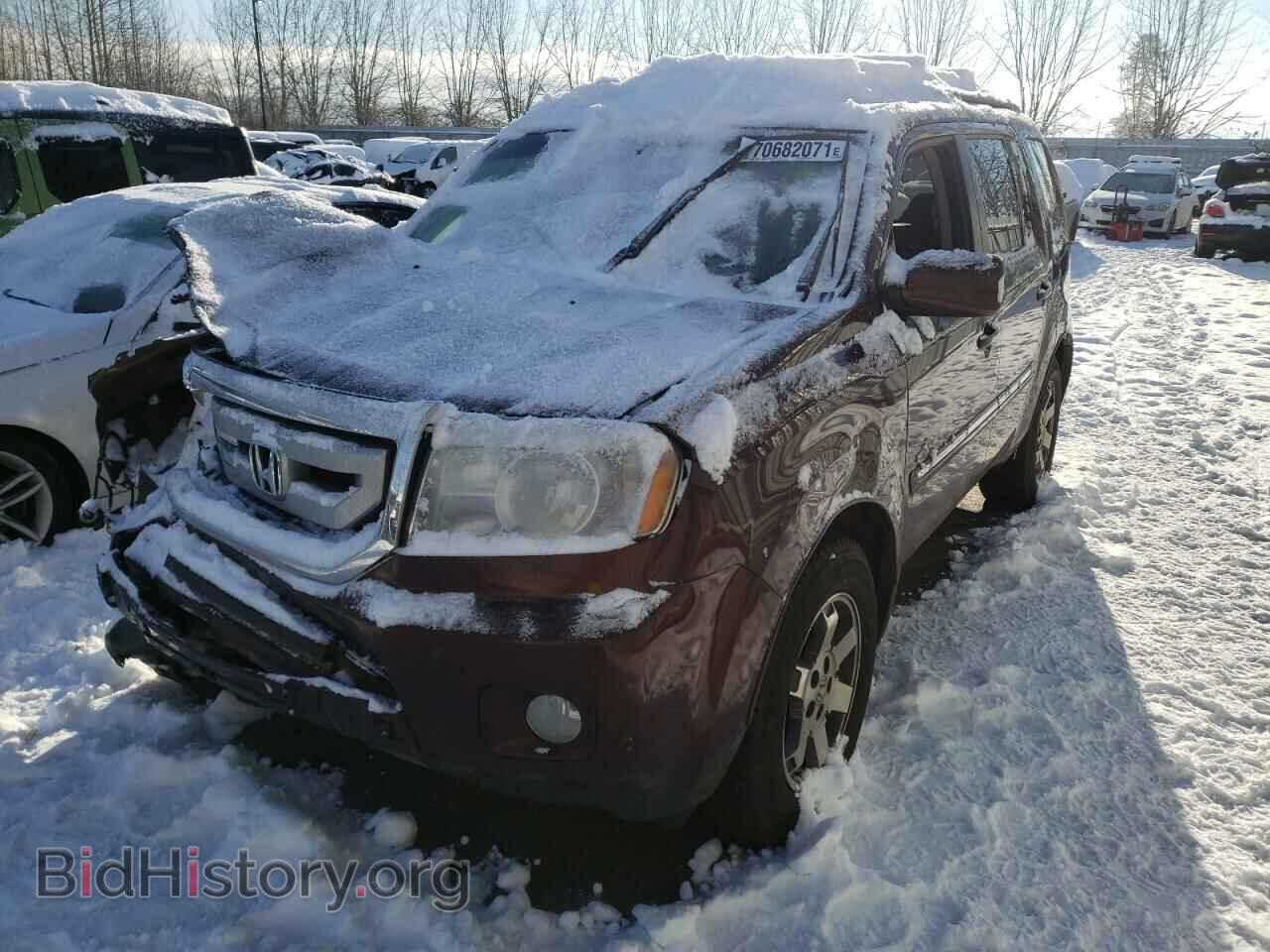 2010 HONDA PILOT - VIN: 5FNYF4H94AB009038 - Фото 2
