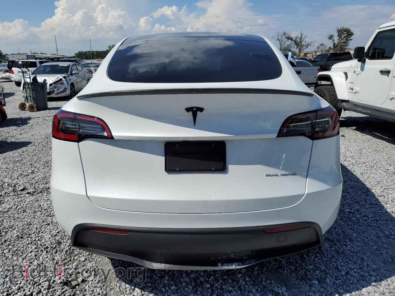 2024 TESLA MODEL Y - VIN: 7SAYGDEE5RA306197 - Фото 6