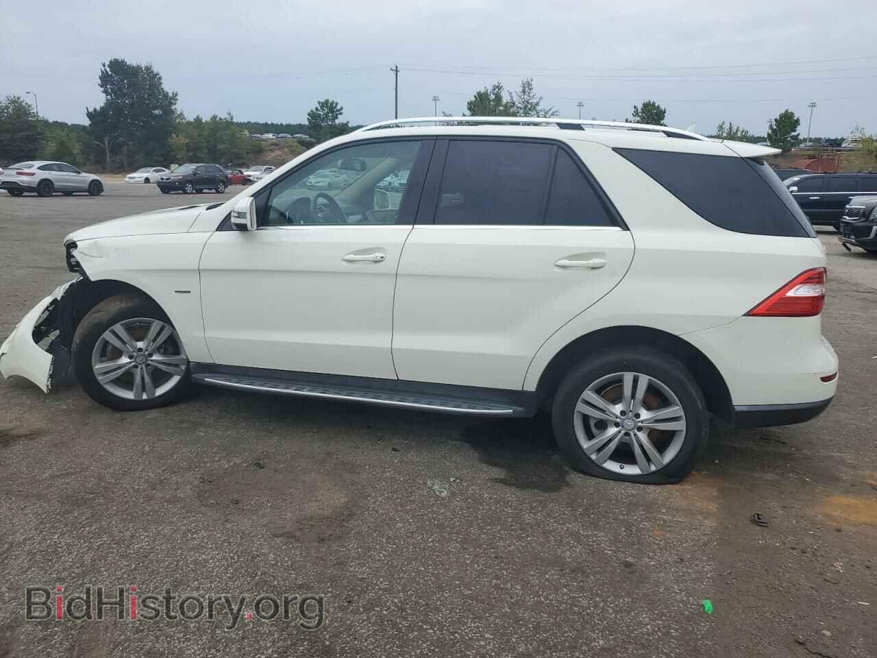 2012 MERCEDES-BENZ M-CLASS - VIN: 4JGDA5HB9CA075744 - Фото 2