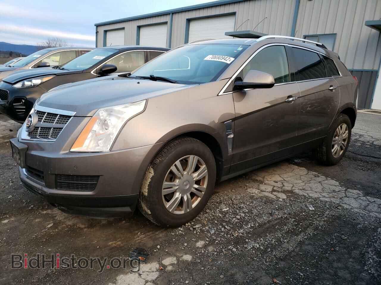 Фотография 3GYFNDEY9BS649254 - CADILLAC SRX 2011