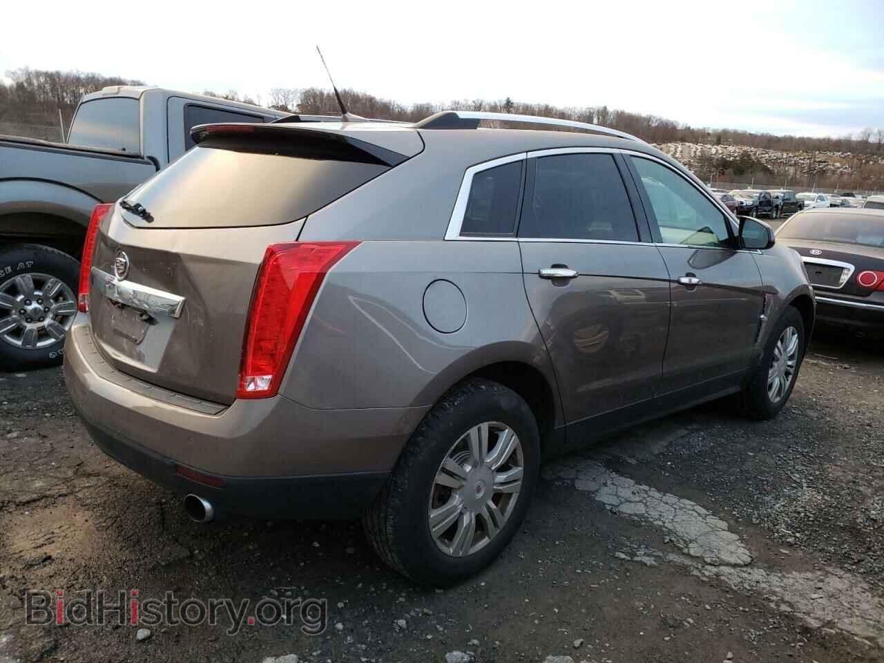 2011 CADILLAC SRX - VIN: 3GYFNDEY9BS649254 - Фото 3